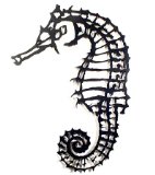 Seahorse