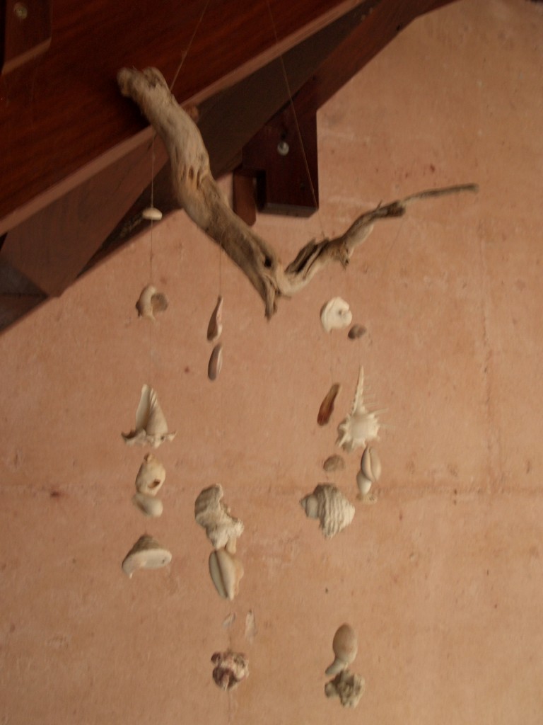 Seashell Strings on a piece of driftwood