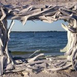 Driftwood Furniture and Accessories