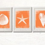 Orange Seashell Prints